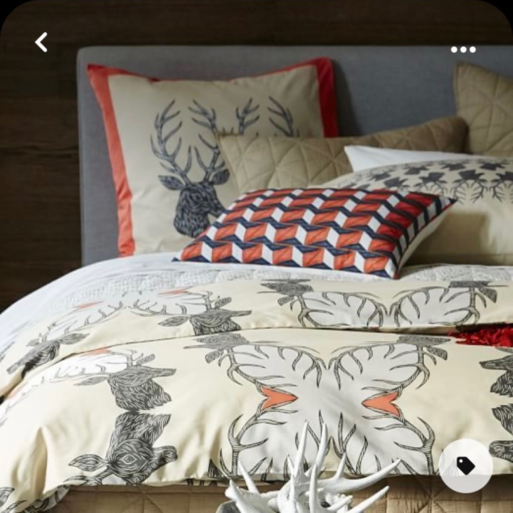 West Elm Queen Duvet and 2 Euro Shams and 2 Standard Shams